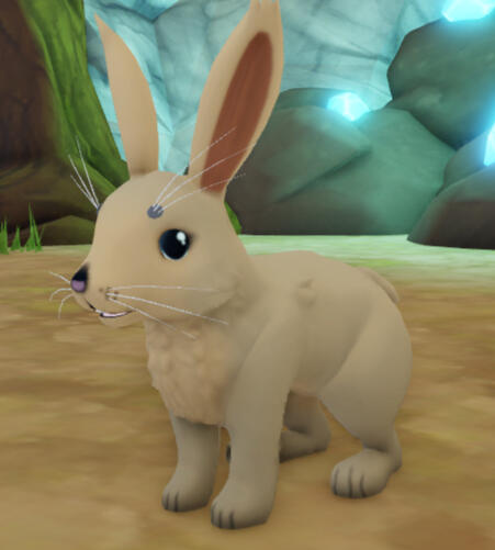 Rabbit In-game