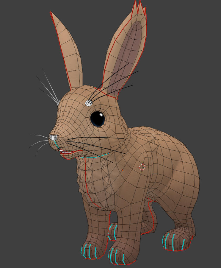 Rabbit Topology