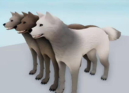 Wolf in Roblox