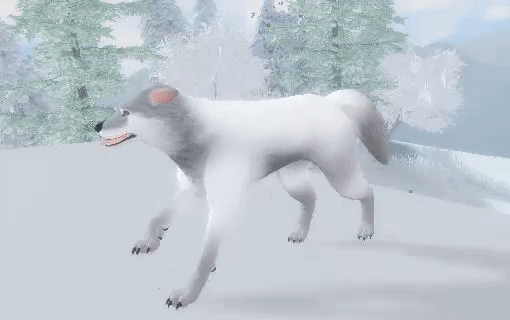 Wolf Canter